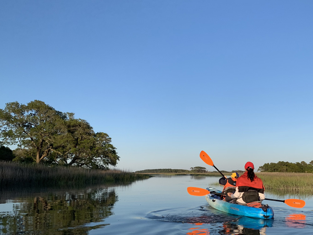 Live oak trees along the salt marsh kayaking through the creeks at cherry grove in North Myrtle Beach